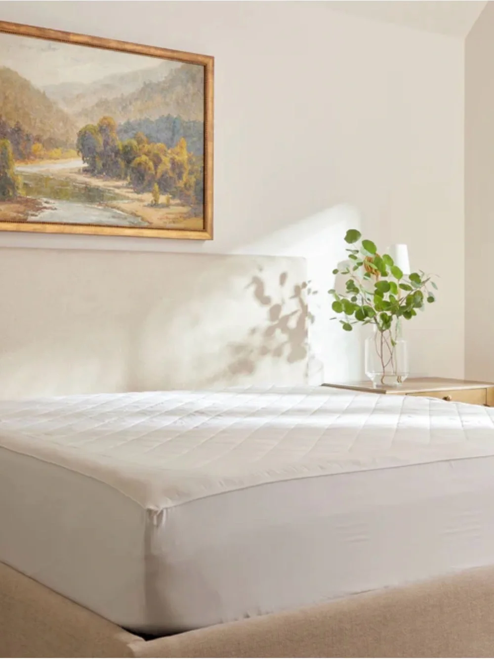 Cozy Earth Bamboo Mattress Pad with canvas bag Queen size NWOT